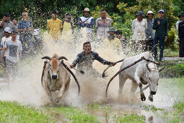 Padang West Sumatra 9 - Tour privato di un giorno + Mentawai