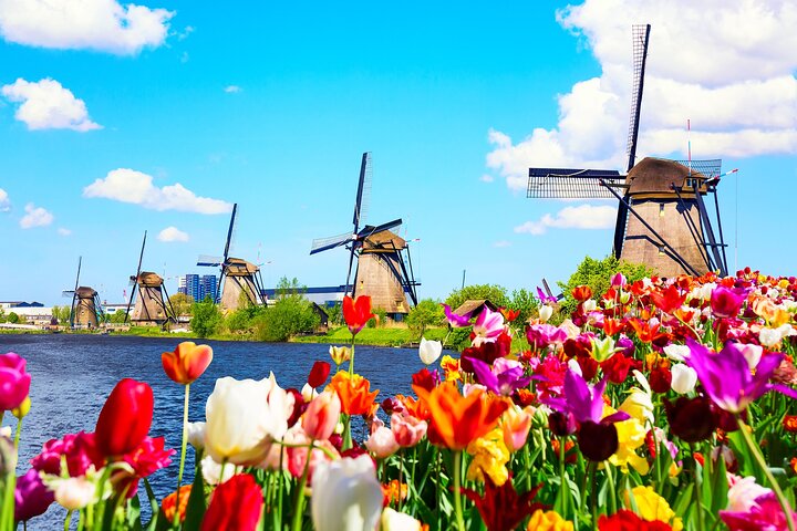 Heldags privat fototur i Kinderdijk från Rotterdams hamn