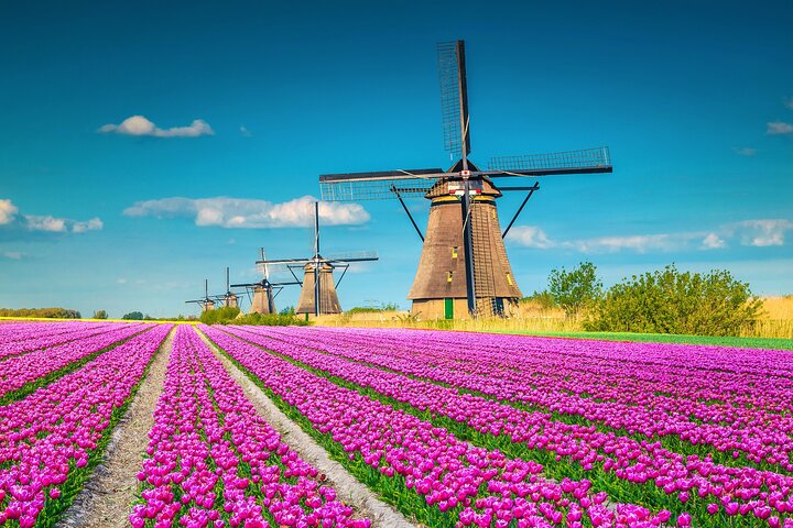 Heldags privat fototur i Kinderdijk från Rotterdams hamn