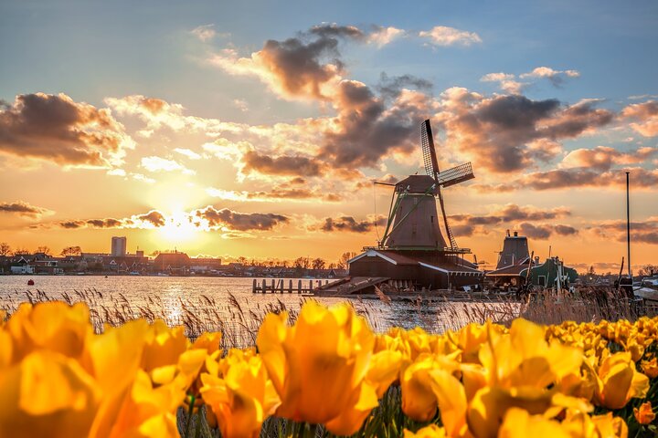 Heldags privat fototur i Kinderdijk från Rotterdams hamn