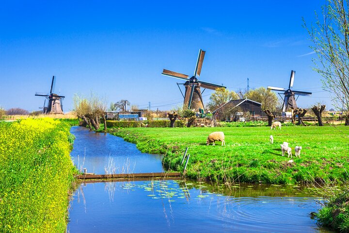 Heldags privat fototur i Kinderdijk från Rotterdams hamn