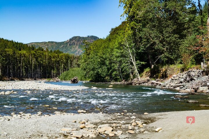 Självguidad Audio Driving Tour i Olympic National Park