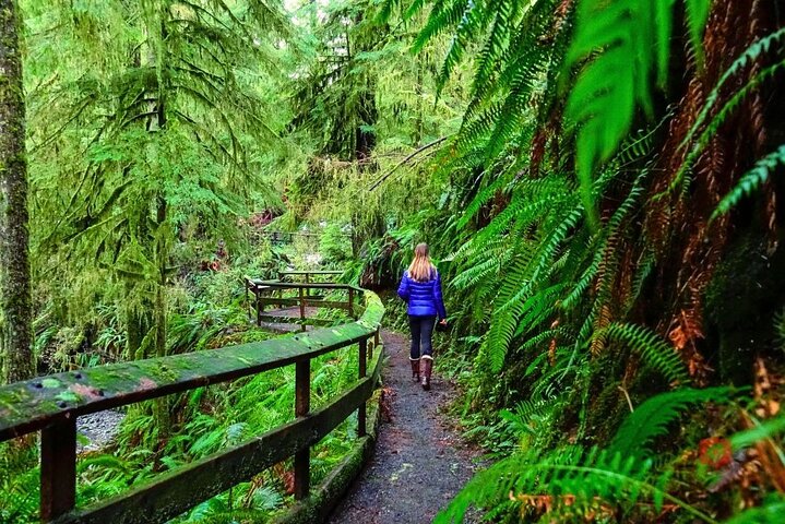 Självguidad Audio Driving Tour i Olympic National Park