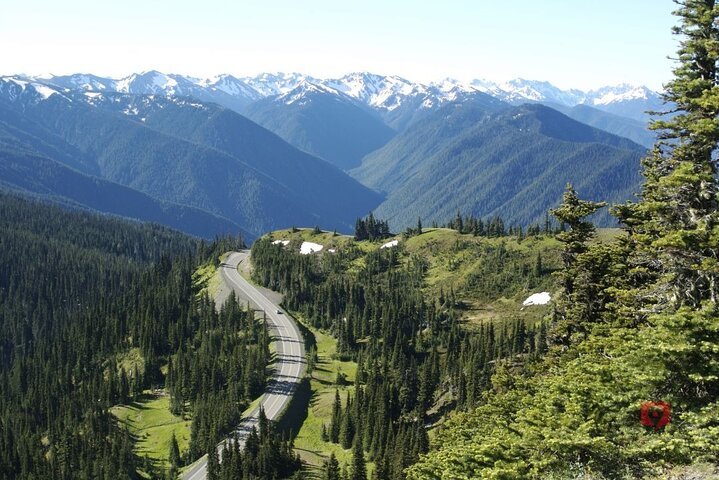 Självguidad Audio Driving Tour i Olympic National Park