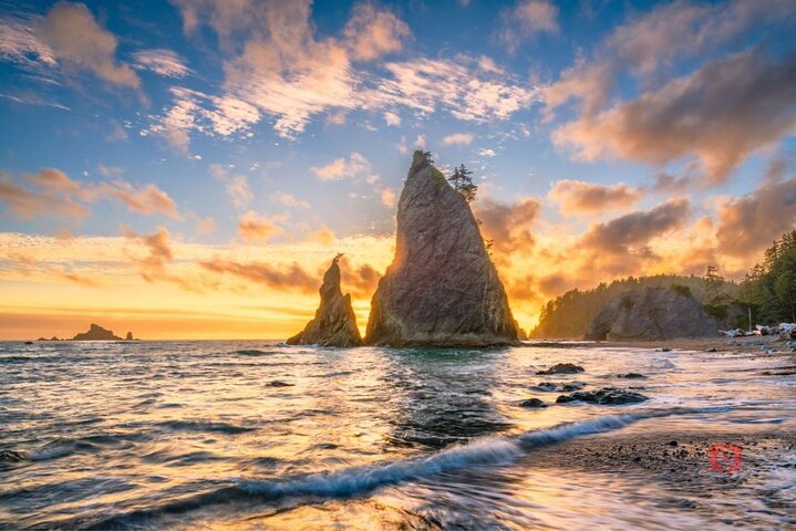 Självguidad Audio Driving Tour i Olympic National Park