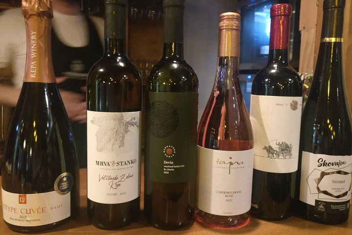 Day trip from Bratislava: Winery Tour with Wine Tasting in the Countryside