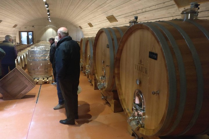 Day trip from Bratislava: Winery Tour with Wine Tasting in the Countryside