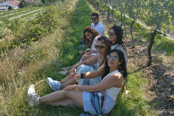 Day trip from Bratislava: Winery Tour with Wine Tasting in the Countryside