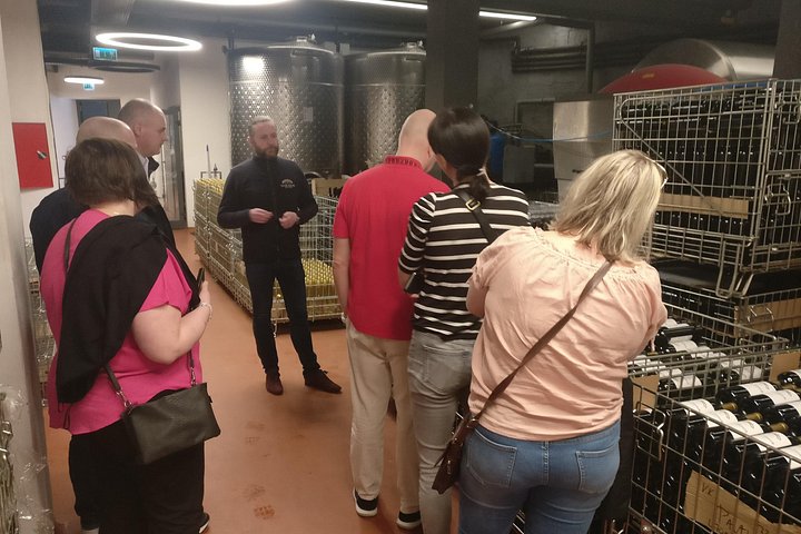 Day trip from Bratislava: Winery Tour with Wine Tasting in the Countryside