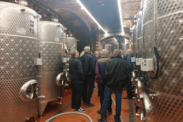 Day trip from Bratislava: Winery Tour with Wine Tasting in the Countryside