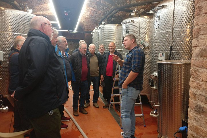 Day trip from Bratislava: Winery Tour with Wine Tasting in the Countryside