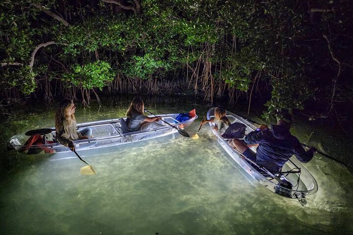 Siesta Key, FL - Clear Kayak LED Nachtglas Onderkant Tour