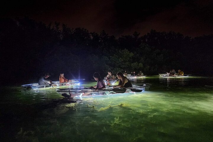 Siesta Key, FL - Clear Kayak LED Nachtglas Onderkant Tour