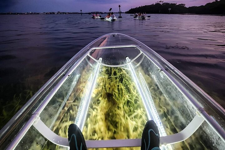 Siesta Key, FL - Clear Kayak LED Nachtglas Onderkant Tour