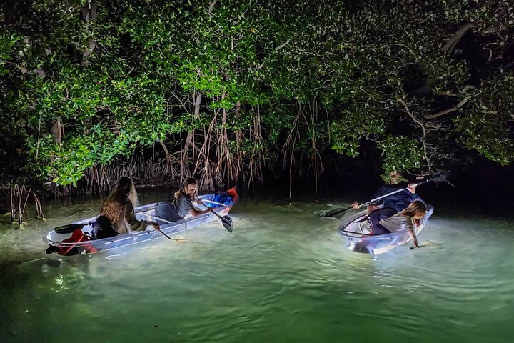 Siesta Key, FL - Clear Kayak LED Nachtglas Onderkant Tour