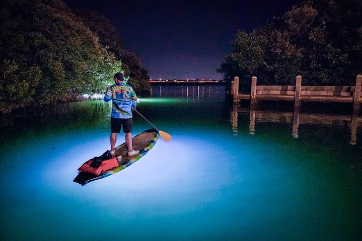 Hoteller i nærheden af Sarasota - Clear Kayak LED Night Glass Bottom Tour