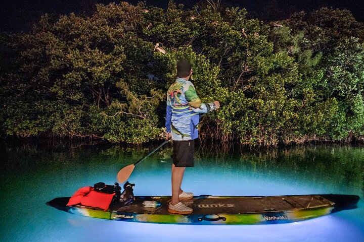 Anna Maria Island - Clear Kayak LED Nachtglas Onderkant Tour