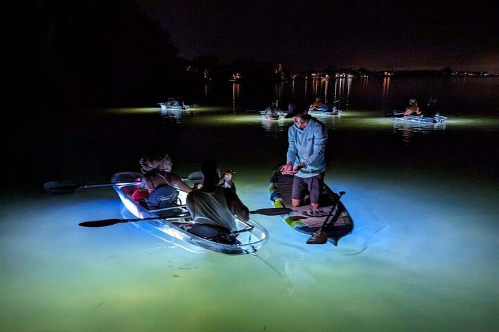 Hoteller i nærheden af Sarasota - Clear Kayak LED Night Glass Bottom Tour