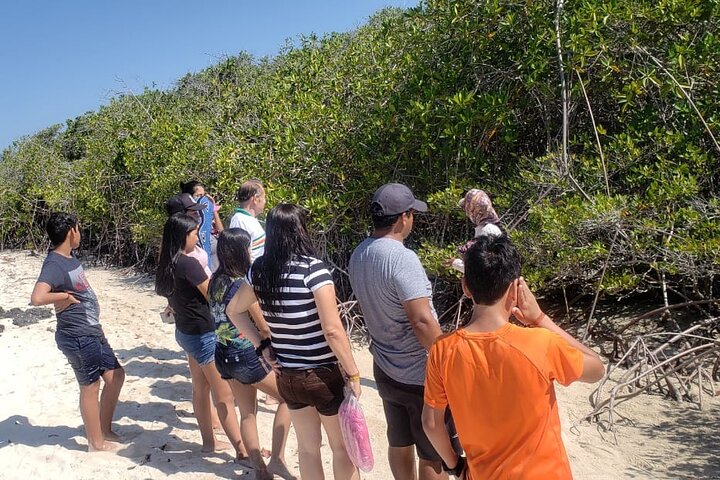 Tour di un giorno dell'isola di Isabela da Santa Cruz con Tintoreras