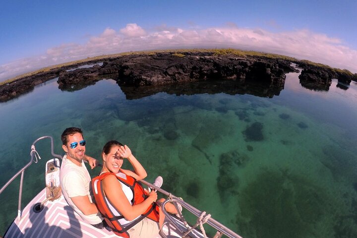 Tour di un giorno dell'isola di Isabela da Santa Cruz con Tintoreras