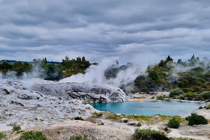 Rotorua via Kiwi/sjøland og et besøk til ikoniske Whakarewarewa
