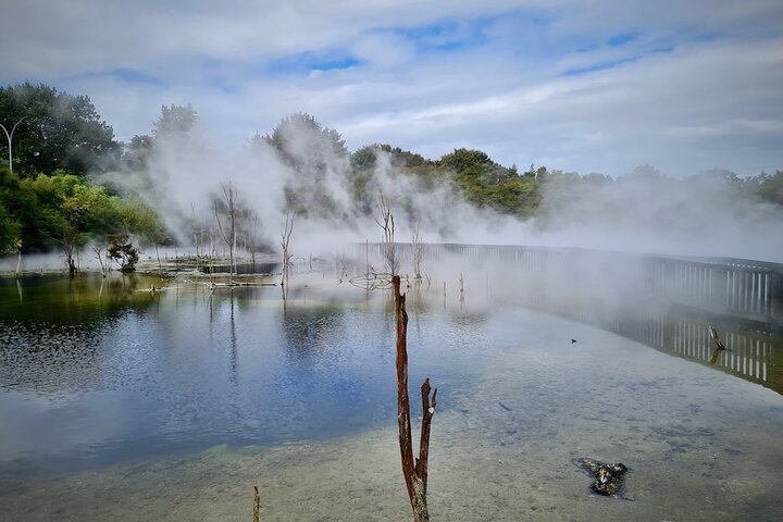 Rotorua via Kiwi/sjøland og et besøk til ikoniske Whakarewarewa