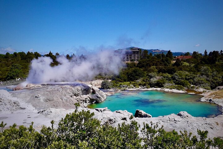 Rotorua via Kiwi/sjøland og et besøk til ikoniske Whakarewarewa