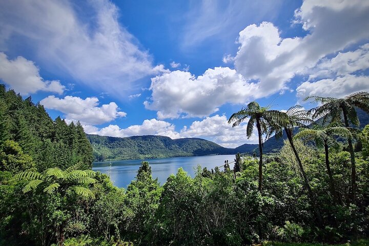 Rotorua via Kiwi/sjøland og et besøk til ikoniske Whakarewarewa