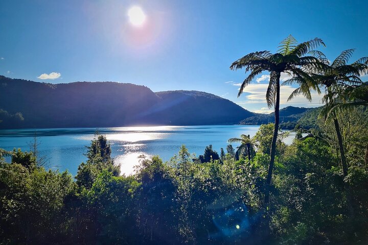 Rotorua via Kiwi/sjøland og et besøk til ikoniske Whakarewarewa