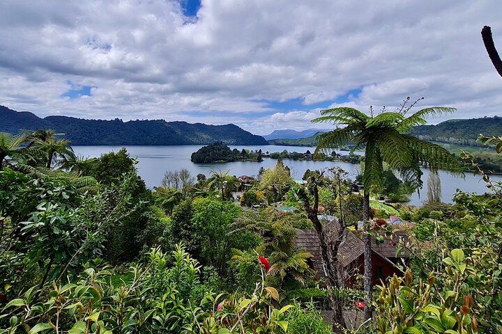 Rotorua via Kiwi/sjøland og et besøk til ikoniske Whakarewarewa