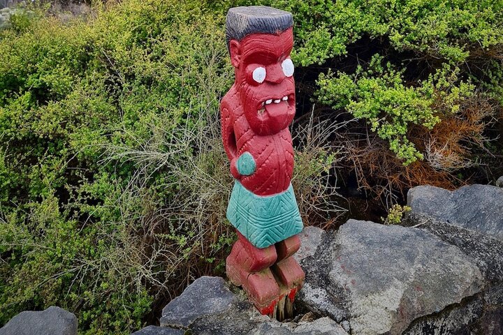 Rotorua via Kiwi/sjøland og et besøk til ikoniske Whakarewarewa