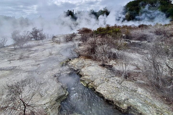 Rotorua via Kiwi/sjøland og et besøk til ikoniske Whakarewarewa
