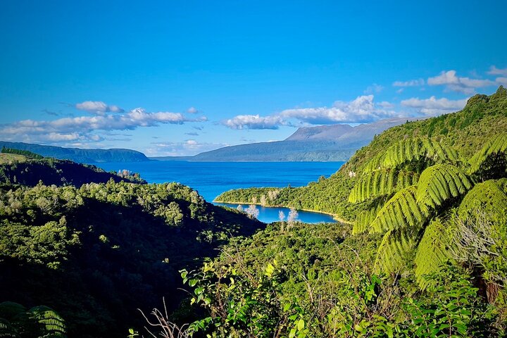 Rotorua via Kiwi/sjøland og et besøk til ikoniske Whakarewarewa