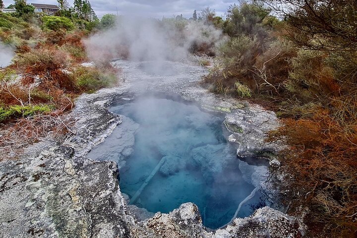 Rotorua via Kiwi/sjøland og et besøk til ikoniske Whakarewarewa