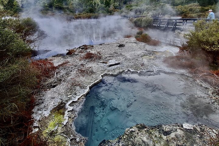 Rotorua via Kiwi/sjøland og et besøk til ikoniske Whakarewarewa