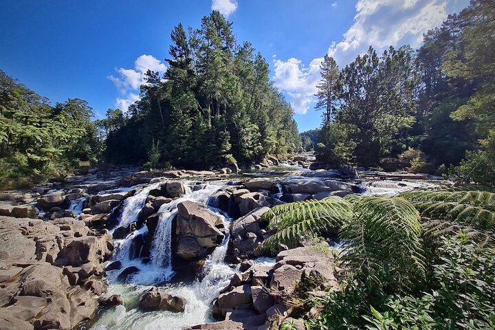 Tour por el set de rodaje de Hobbiton y muchos más lugares de interés de Nueva Zelanda