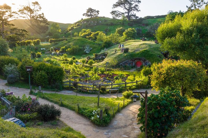 Tour por el set de rodaje de Hobbiton y muchos más lugares de interés de Nueva Zelanda