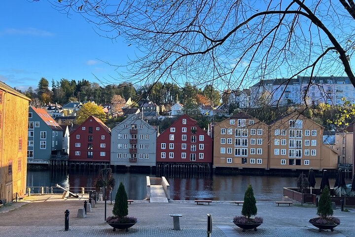 Points forts d'une demi-journée de Trondheim en bus et à pied en ville