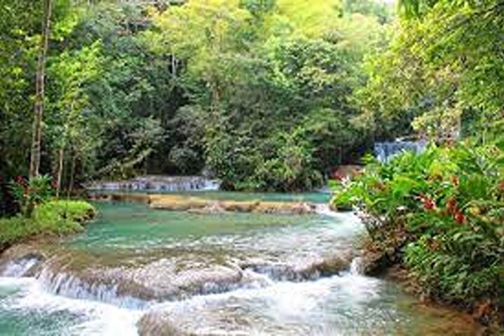 Zipline, YS Falls & Pelican Bar Privétour vanuit Montego Bay