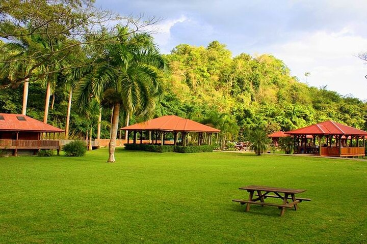 Zipline, YS Falls & Pelican Bar Privétour vanuit Montego Bay