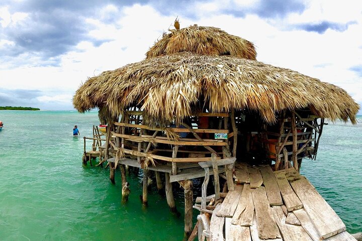Zipline, YS Falls & Pelican Bar Privétour vanuit Montego Bay