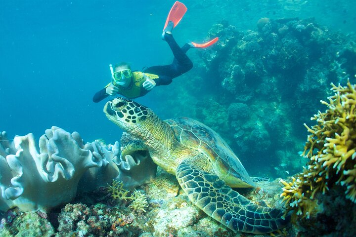 Tour di navigazione, SUP e snorkeling nelle Isole Whitsunday - Bassa affluenza