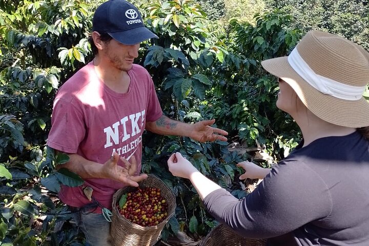 Kaffe- og jeep-tur på Finca Mariposa i Jardin