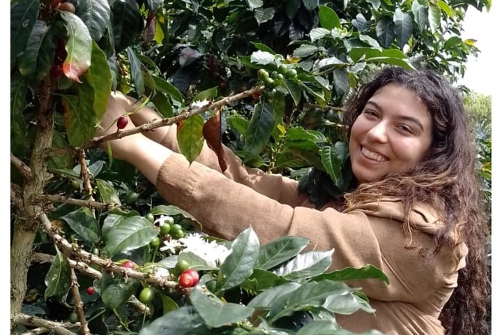 Kaffe- og jeep-tur på Finca Mariposa i Jardin