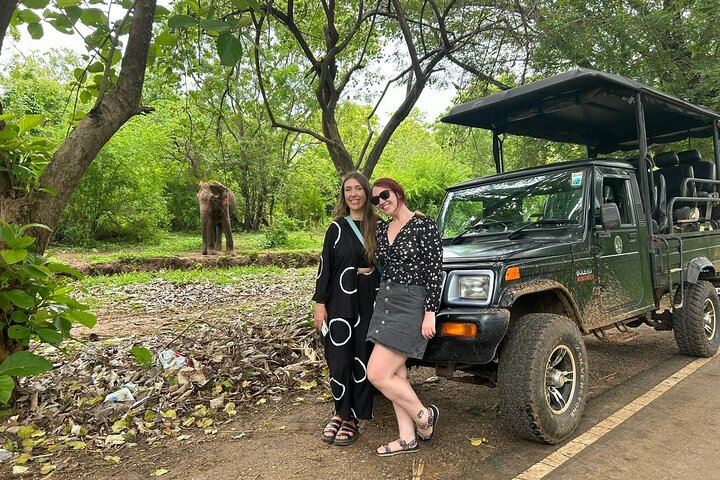 Parco nazionale di Udawalawe — 4 - Safari privato in jeep di 4 ore (ritiro)