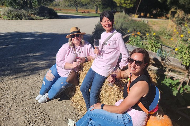 Excursão vinícola com tudo incluído para grupos pequenos em Solvang Santa Ynez Valley