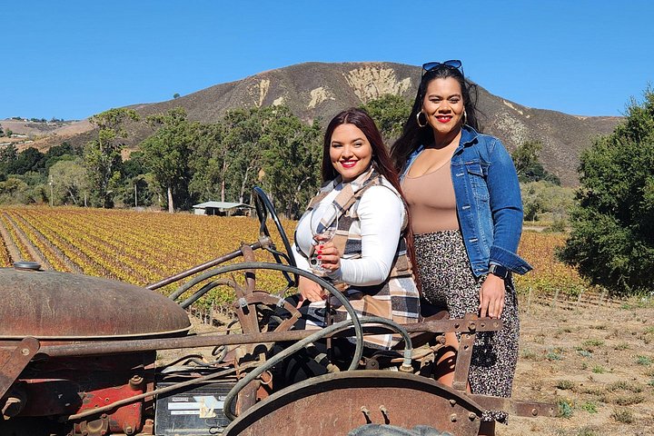 Excursão vinícola com tudo incluído para grupos pequenos em Solvang Santa Ynez Valley