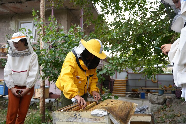 Visite privée d'une ferme de miel et fabrication de bougies en cire d'abeille à Spitak