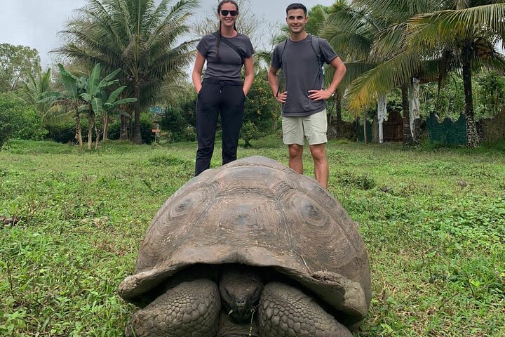 Tour Giant Tortoises, Lava Tunnels & Stop at Los Gemelos Craters”