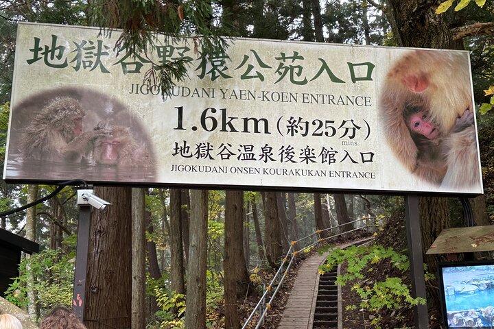 1-tägige private Schneeaffen-ZenkoJi-Tempel- und Sake-Verkostung durch Nagano